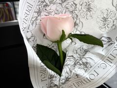 -FEI FEI FLOWER鲜花店·气球派对·宝宝宴布置(虹口德必运动Loft店)