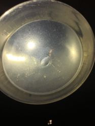 -MedSkinCare科技祛痘肌肤修护中心