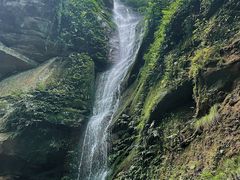 -碧峰峡风景区