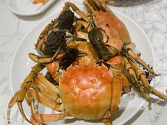 -初色海鲜自助(新辰里亚运村店)