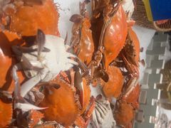 -星伦多自助料理·涮烤一体(嘉兴八佰伴店)