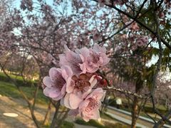 -白塘生态植物园