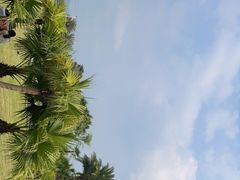 -云里小坐·海泉湾·团建·宴席·下午茶(金堂海泉湾店)