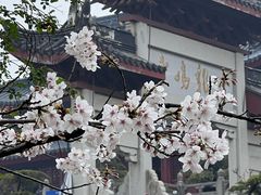 -鸡鸣寺