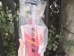 草莓啵啵橙橙-书亦烧仙草(二七万达广场店)