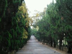 -八大关景区