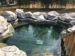 -和园景逸大酒店朗月汤泉
