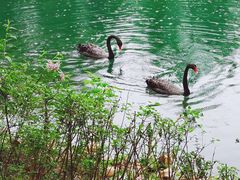 -长白岛森林公园