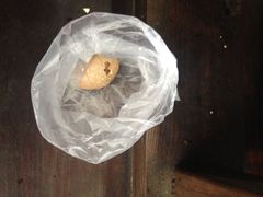 -金盆阿嬷香菇茶叶蛋(玄光店)