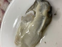 大大的蚝-花苑美食横琴生蚝火锅(拱北粤华路店)