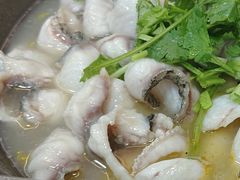 -大鼎石锅鱼(春江里店)