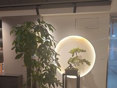 -席仁堂推拿按摩脊柱调理(世纪科贸大厦店)