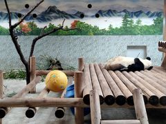 -西安秦岭野生动物园