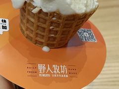 -野人先生现做冰淇淋(北京环宇荟店)