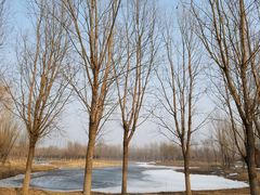 -东郊湿地公园