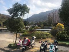 -普陀长途客运中心