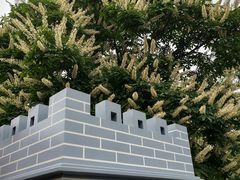 -丰台花园