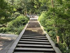 -虎跑公园