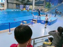 -合肥海洋世界