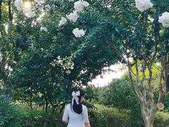 -杭州城北体育公园