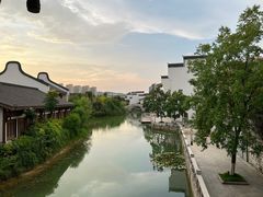 -洋湖国家湿地公园