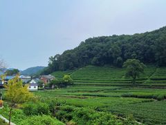 -自在弥林花园餐厅(云栖店)