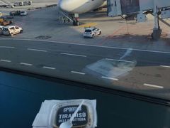 -米兰马尔彭萨国际机场