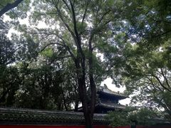 -北京国子监胡同