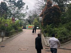 -九龙公园