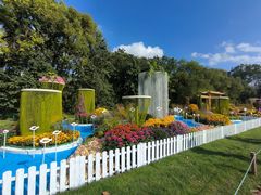 -上海共青森林公园