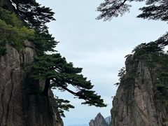 -黄山风景区