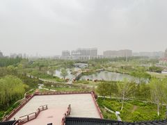 -桃花岛公园