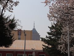 -吉林大学(南岭校区)