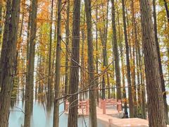-东湖落雁景区