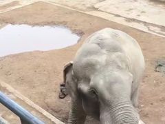 -贵州森林野生动物园