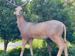 -溱湖国家湿地公园