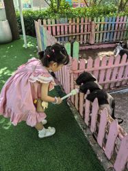 -萌宠亲子动物乐园(槐房万达店)