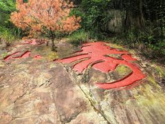 -大金鹰园