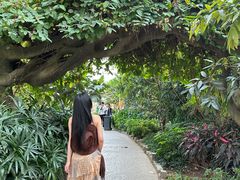 -祥源·阜阳生态乐园