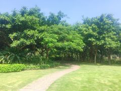 -五缘湾湿地公园