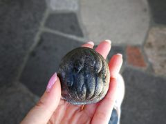 -轻井泽王子购物广场