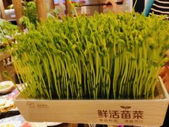 -蜀大侠火锅(四川北路店)