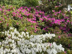 -玄武湖景区-情侣园游乐场