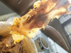 -邓氏大薄片