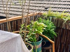 -至尚形象·化妆服饰搭配礼仪培训