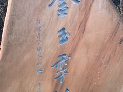 -西南政法大学(渝北校区)