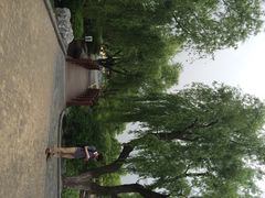 陈行公园-陈行公园