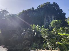 -七仙岭温泉国家森林公园