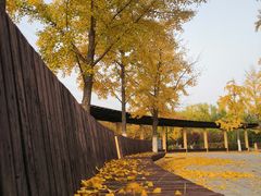 -永定河休闲森林公园