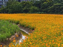 -长广溪湿地公园